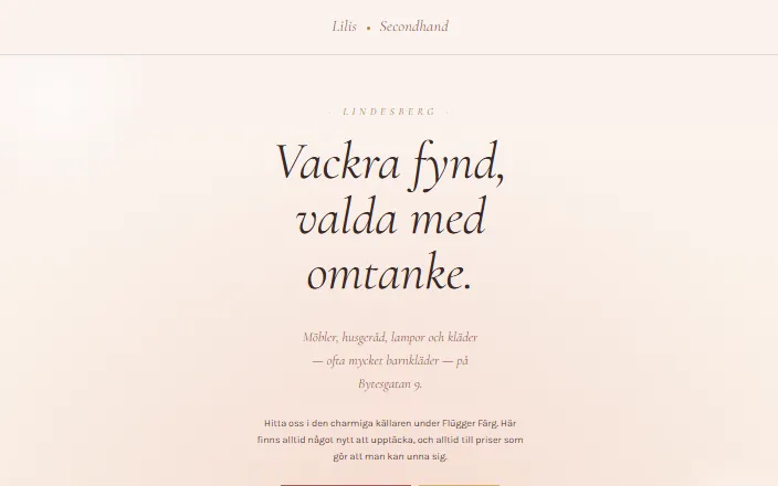 Skärmdump av Lilis Secondhands hemsida