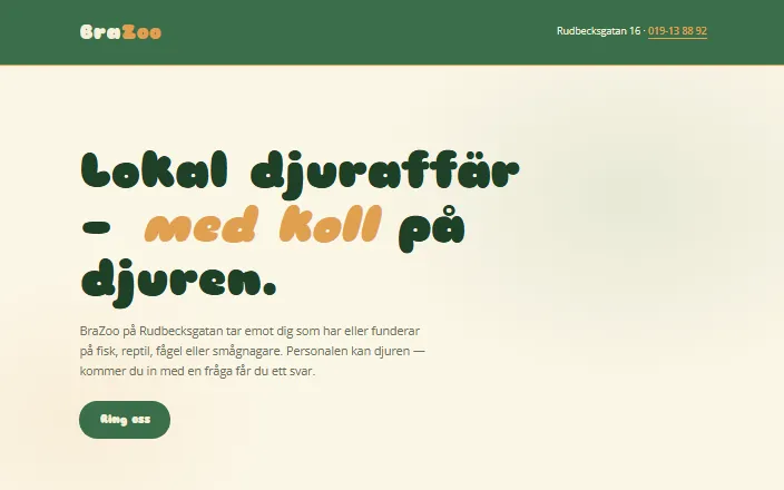 Skärmdump av BraZoos hemsida