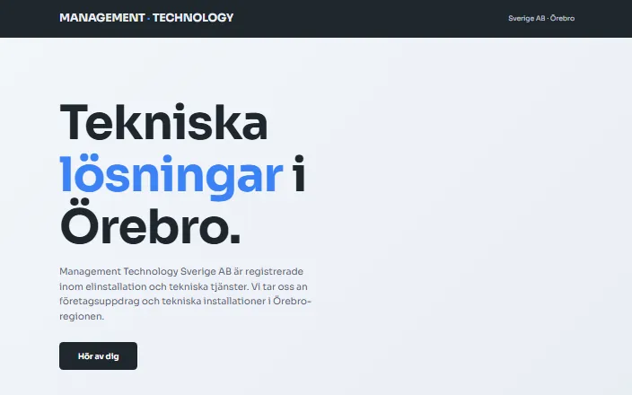 Skärmdump av Management Technology Sverige ABs hemsida